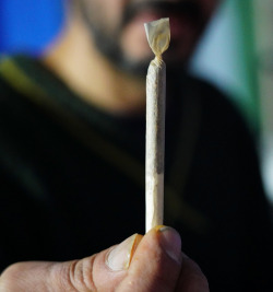 Kurzer Rausch: Bundesregierung kippt Cannabis-Freigabe wegen Geruchsbelästigung und Balkon-Nachfrage